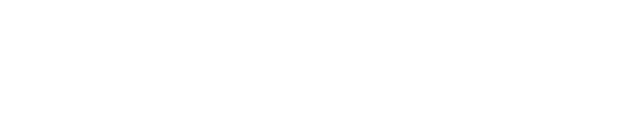 SKEWS Co., Ltd. 株式会社スキューズ